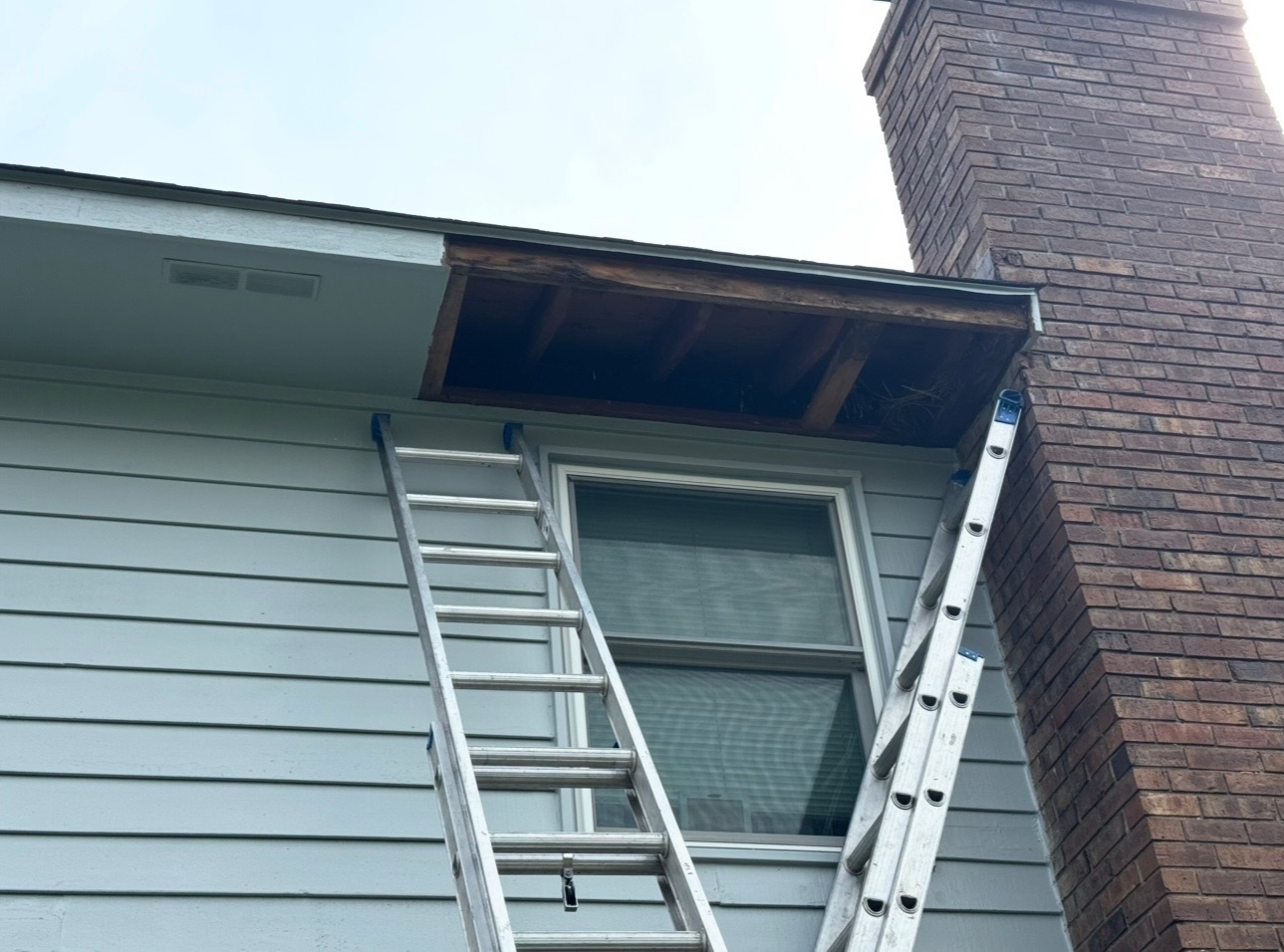 Open soffit and fascia repair area above a window with ladders in place