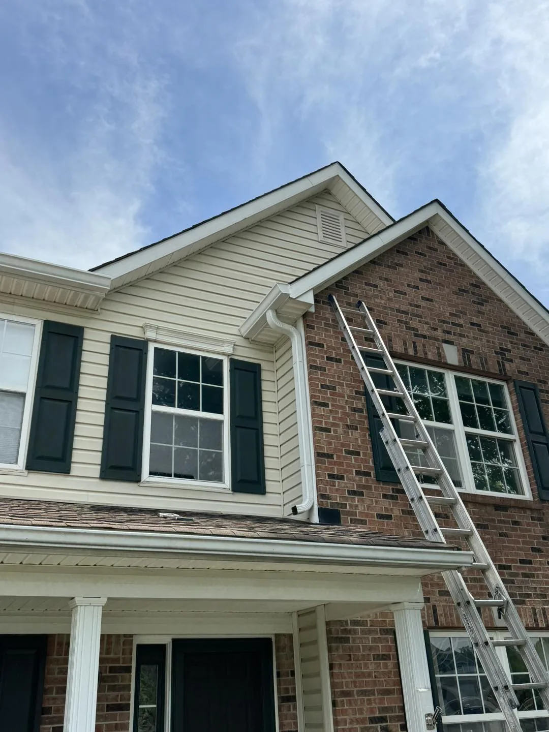 Guard And Roof Detail by Bryant's Seamless Guttering